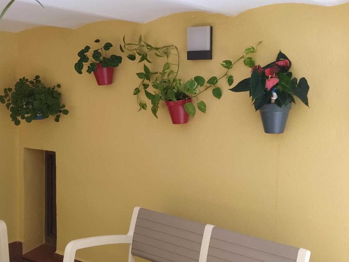 Rcbcaleros Apartment Caceres Bagian luar foto